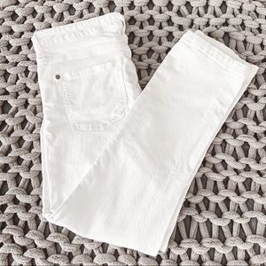 Anthro Pilcro and the Letterpress Skinny Jean